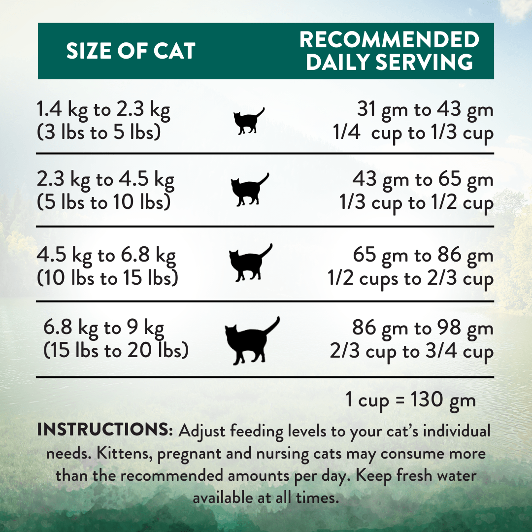 Wild Islands Island Bird Premium Duck Turkey & Chicken Dry Cat Food 1.8kg - Dry Cat Food - Addiction Pet Australia
