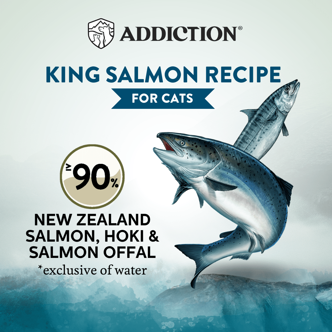 Wild Islands King Salmon Canned Cat Food 85g - Wet Cat Food - Addiction Pet Australia