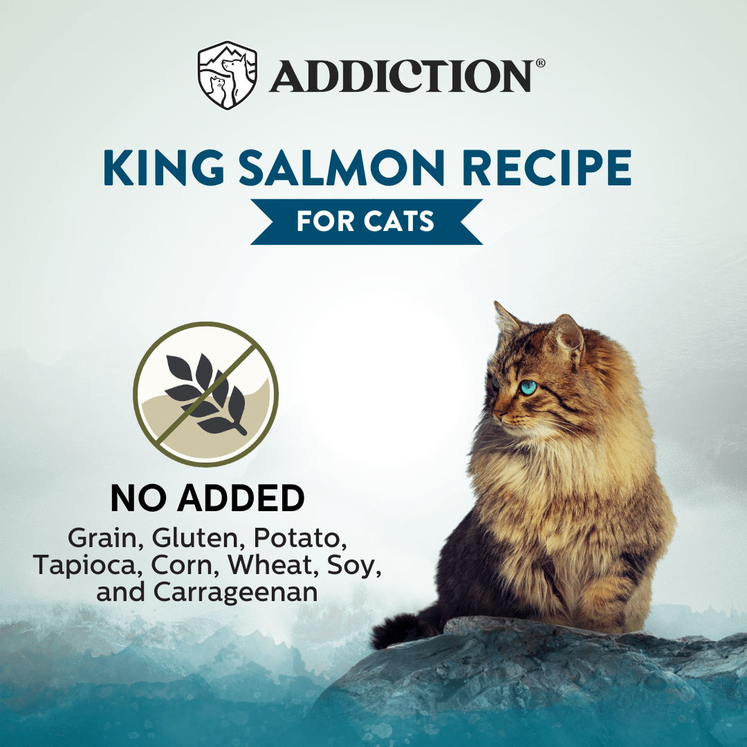 Wild Islands King Salmon Canned Cat Food 85g - Wet Cat Food - Addiction Pet Australia
