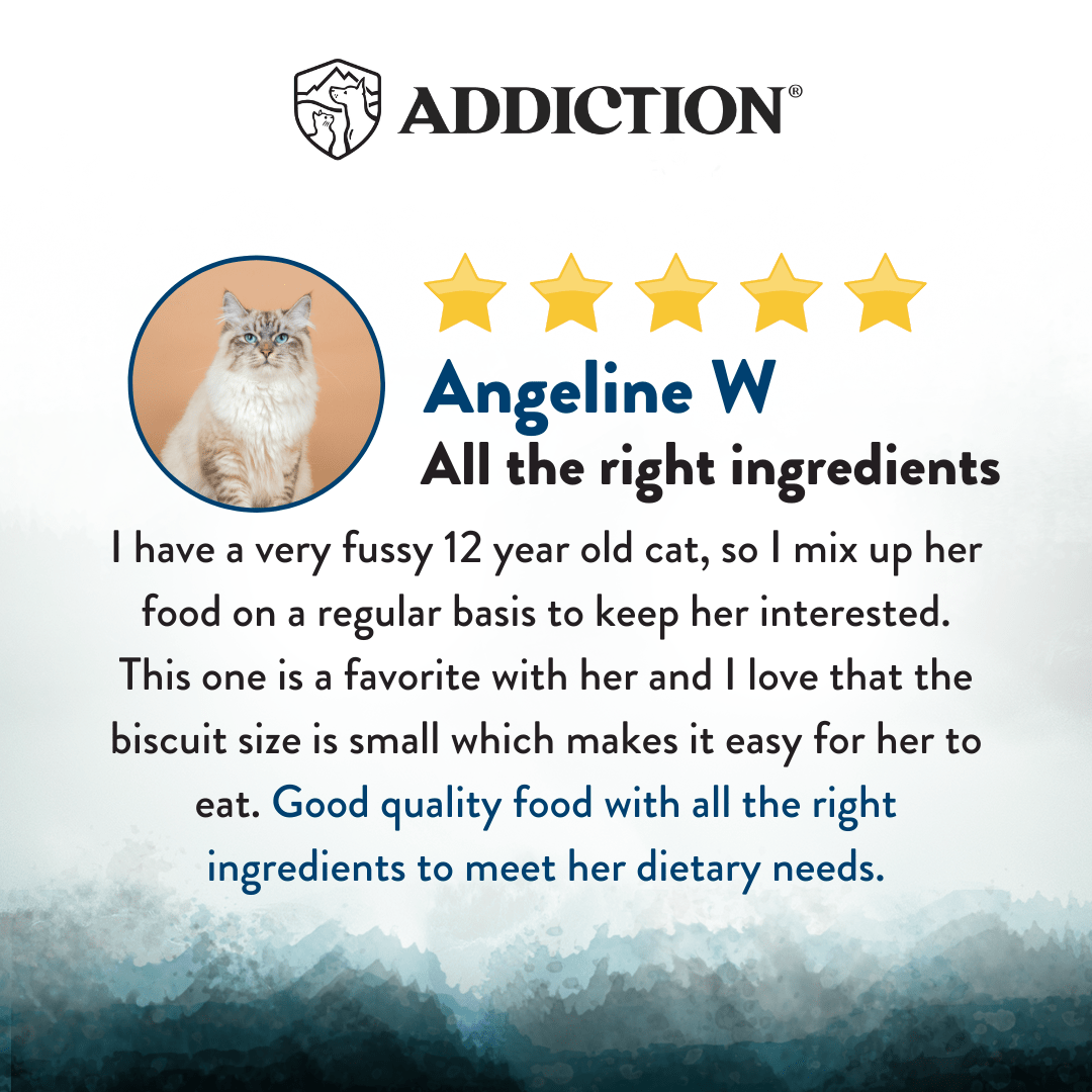 Wild Islands Pacific Catch Premium King Salmon Mackerel & Hoki Dry Cat Food 1.8kg - Dry Cat Food - Addiction Pet Australia