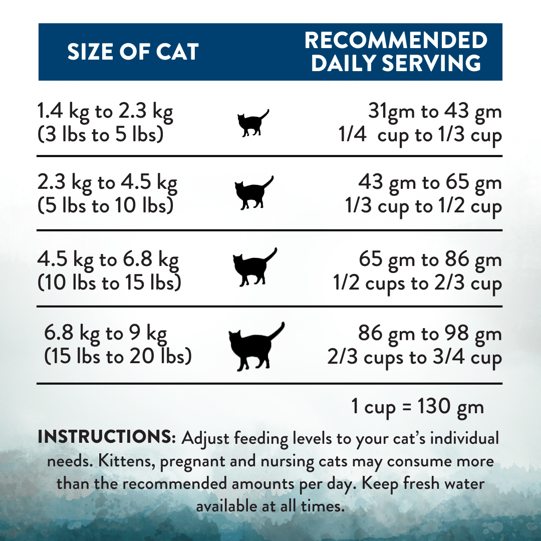 Wild Islands Pacific Catch Premium King Salmon Mackerel & Hoki Dry Cat Food 1.8kg - Dry Cat Food - Addiction Pet Australia