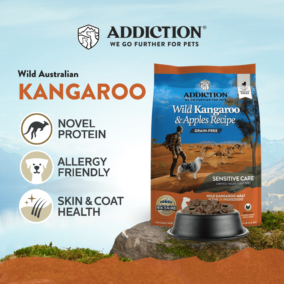 Wild Kangaroo & Apples Dry Dog Food 1.8kg, 9kg - Dry Dog Food - Addiction Pet Australia