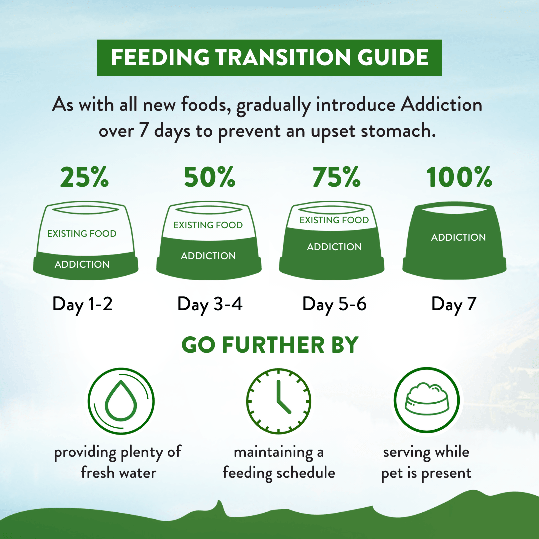 Zen Vegetarian Dry Dog Food 1.8kg, 9kg - Dry Dog Food - Addiction Pet Australia