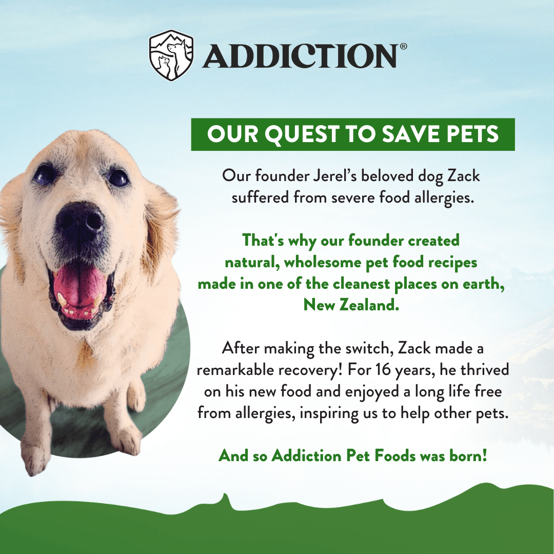 Zen Vegetarian Dry Dog Food 1.8kg, 9kg - Dry Dog Food - Addiction Pet Australia